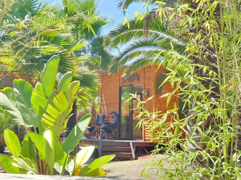 The Farmhouse B&B 스텔렌보스 외부 사진
